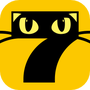 金猫小说