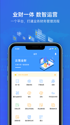 云简业财图2