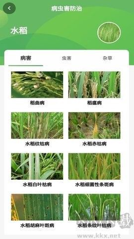 智慧农业[图3]