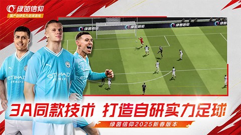绿茵信仰图3