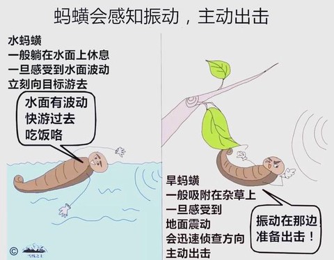 九阴真经蝗虫之害怎么做[图1]