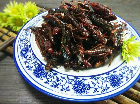 九阴真经蝗虫之害怎么做[图2]