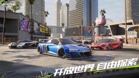 极品飞车是什么游戏[图1]
