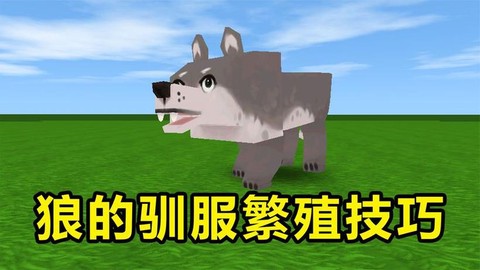 迷你世界狼怎么驯服[图2]