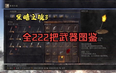 黑暗之魂之3用什么武器[图2]
