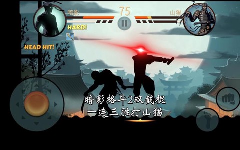 暗影格斗山猫怎么打