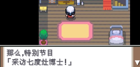口袋妖怪白金[图2]