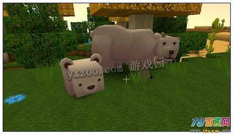 迷你世界北极熊怎么生宝宝