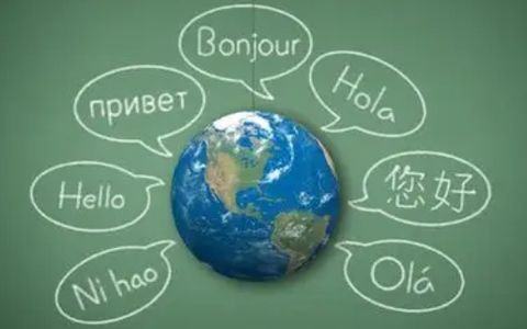 拍照识别君[图1]