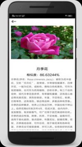 拍照识别君图1