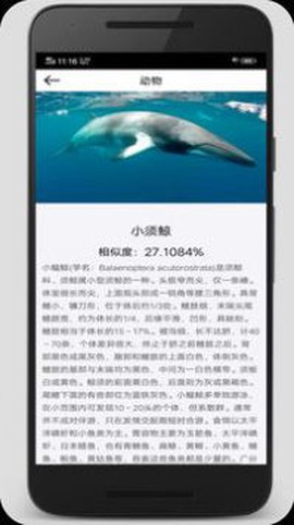 拍照识别君图2