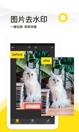 专业去水印图1