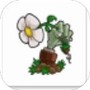 植物大战僵尸废稿