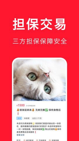 宠物宝[图2]