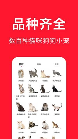 宠物宝图2