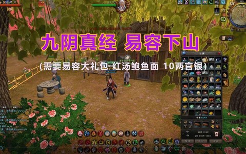 九阴真经下山需要什么[图2]
