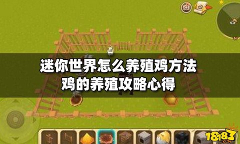 迷你世界怎么吸引鸡[图2]