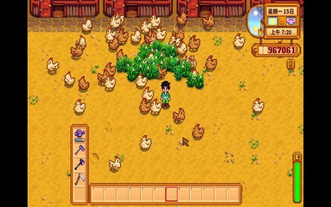星露谷物语小鸡怎么喂[图2]