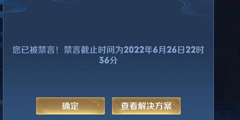 王者荣耀怎么看禁言时间