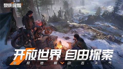黎明生机图3