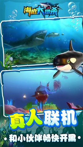 海底大猎杀图1