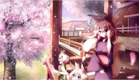小鸟动漫[图1]