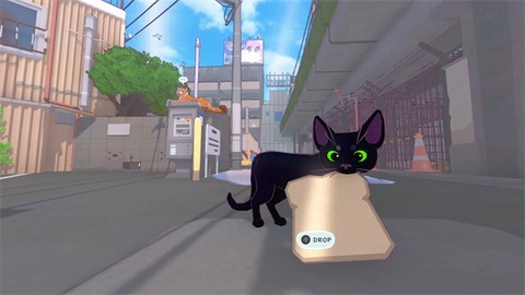 小猫咪游戏图1