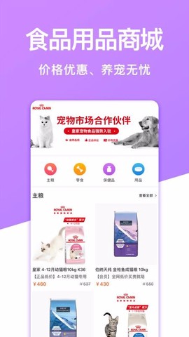 宠物市场图2