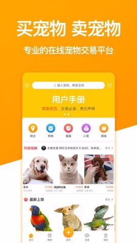 宠物市场图3