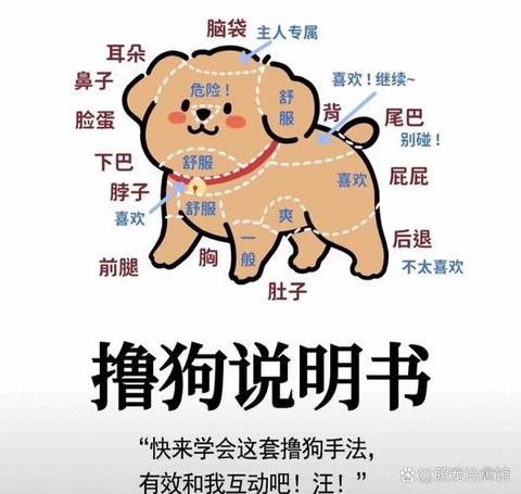 玩吧狼人杀怎么摸狗