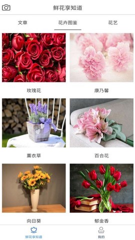 鲜花知识星球[图1]
