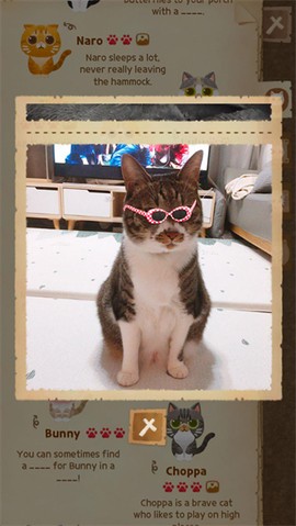 猫咪森林图3