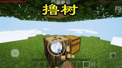 我的世界空岛生存[图2]