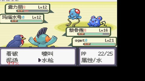 口袋妖怪绿宝石怎么超进化[图2]