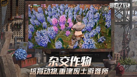 明日庇护所图3
