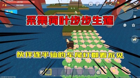 迷你世界的荷叶怎么放[图1]