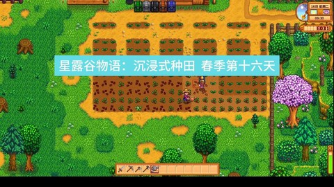 星露谷物语土壤怎么得