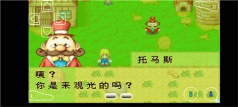 牧场物语女孩版[图3]
