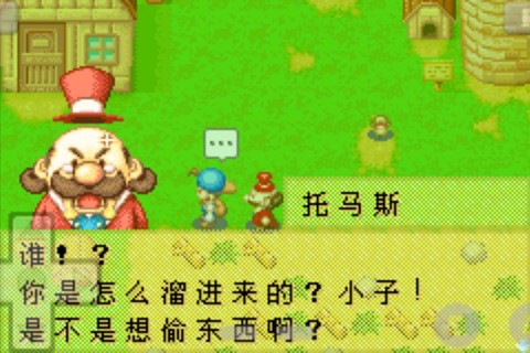 牧场物语女孩版图3
