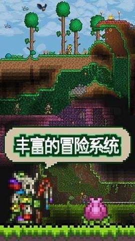 泰拉瑞亚骷髅商人图3