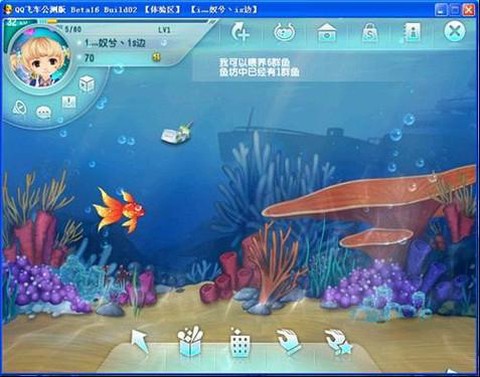 qq飞车飞车怎么养鱼