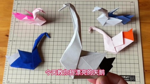 我的世界天鹅怎么做