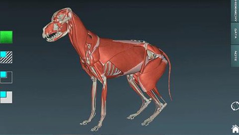 人体解剖学图集[图1]