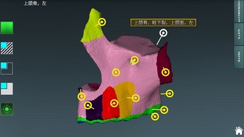 人体解剖学图集图2