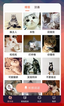猫语翻译师图1