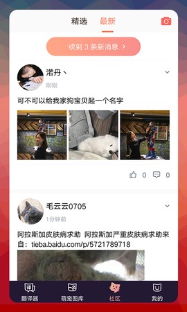 猫语翻译师图3
