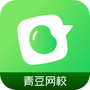 青豆网校