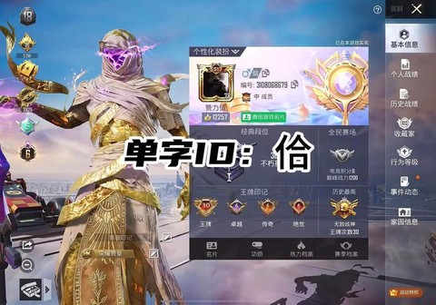 绝地求生id怎么起