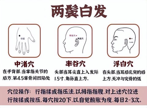 九阴真经白头发怎么弄