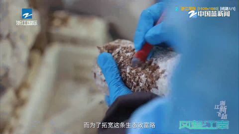 白虾影院图3